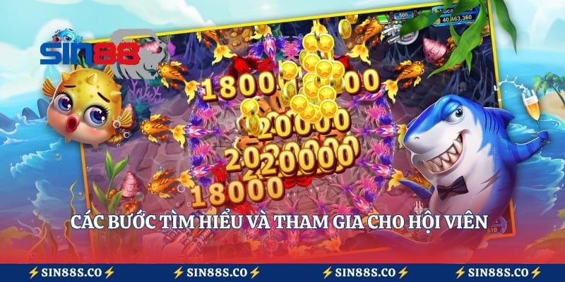 Các bước tìm hiểu và tham gia cho hội viên khi trải nghiệm trò chơi