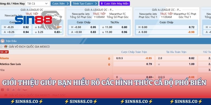 Giới thiệu giúp bạn hiểu rõ các hình thức cá độ phổ biến