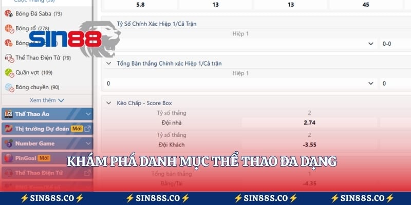 Khám phá danh mục thể thao đa dạng dành cho người dùng