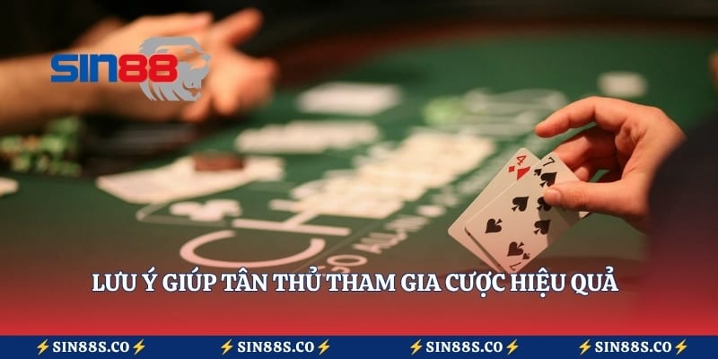 Lưu ý giúp tân thủ tham gia cược hiệu quả