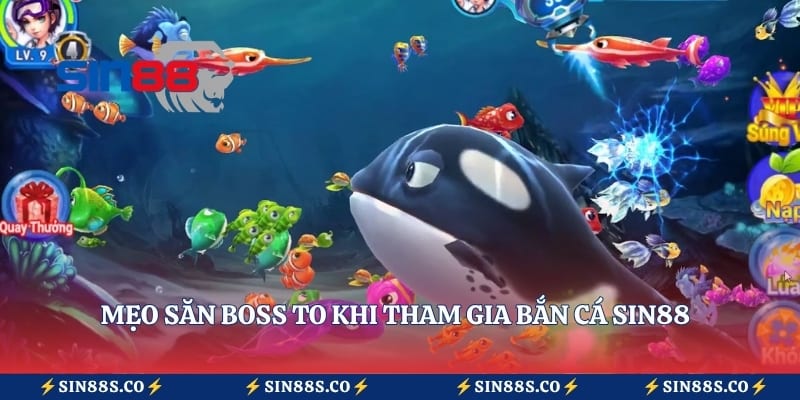 Mẹo săn boss to khi tham gia bắn cá Sin88