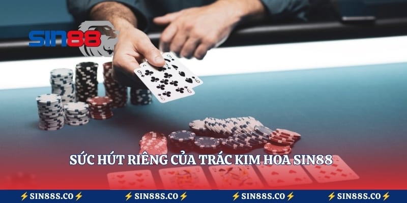 Sức hút riêng của Trác Kim Hoa Sin88